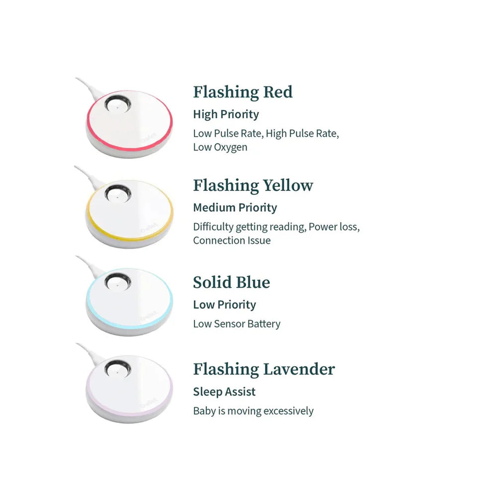 Owlet Dream Sock + FREE Cam 2 Bundle - FDA-Cleared Baby Monitor
