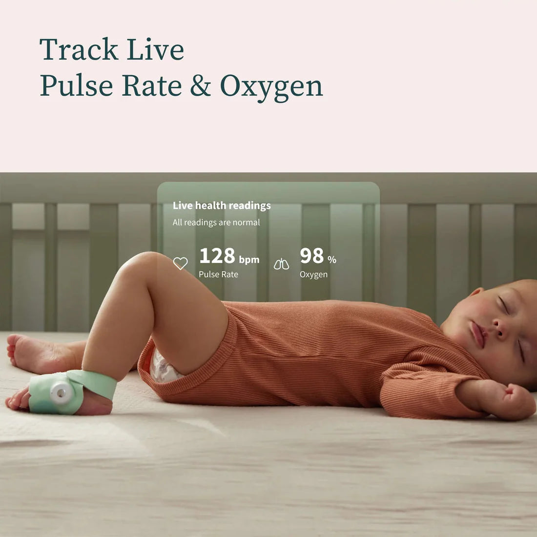 Owlet Dream Sock + FREE Cam 2 Bundle - FDA-Cleared Baby Monitor